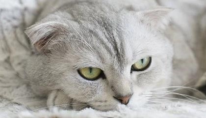 开练！马瑟林赤膊上阵训练挥汗如雨 打板大战斧劈扣赏心悦目